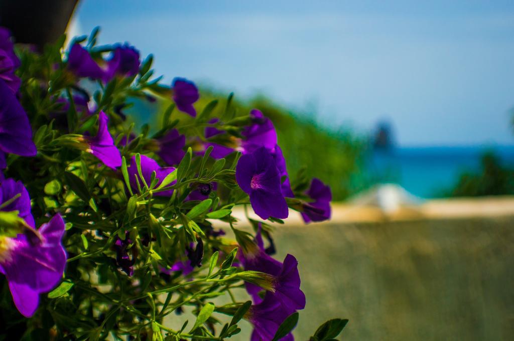 Agathi Beach House Agios Gordios  Esterno foto